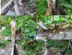 Beberapa Bulan Selesai, Proyek Irigasi Jebol