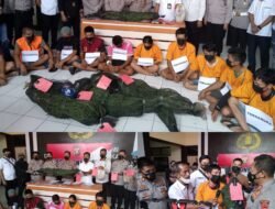Polsek Jarai Temukan Ladang Ganja