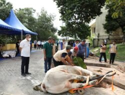 Momen Idul Adha 1443 H, BP Batam Sembelih Hewan Qurban