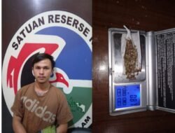 Polres Pagaralam Ciduk Seorang “Pemuja” Ganja