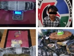 Polres Pagaralam Kembali Gagalkan Pengedar Ganja