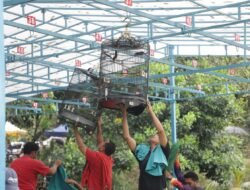 BP Batam Gelar Lomba Burung Berkicau