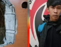 Polres Pagaralam Kembali Meringkus Pengedar Ganja