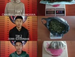 Pemakai Ganja Diamankan SatNarkoba Polres Pagar Alam