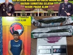 Bandar Ganja Ditangkap Polres Pagaralam