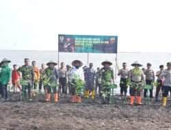 Bupati Kasmarni Sambut Baik, Kegiatan  Penanaman Mangrove Program Kasad TNI AD