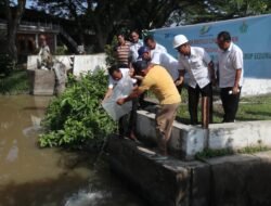 Sambut HLH Sedunia PTPN IV Regional II Unit PKS Tinjowan Tabur 1.000 Benih Ikan Nila