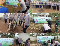 Polres Pagaralam Menggalakkan Kembali Tanam 1000 Pohon