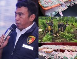 Ungkap Narkoba di Semester I 2024, Polda Sumsel Selamatkan 2,2 Juta Jiwa