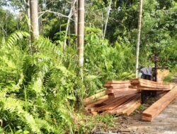 Penebangan Kayu Di Kampung Lalang Tanjung Desa Tanjung Kecamatan Tebing Tinggi Barat Menuai Masaalah
