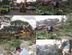 Walikota Pagaralam Instruksikan Dinas PUTR Menebang Dan Memangkas Pohon Di Kawasan Pasar Nendagung