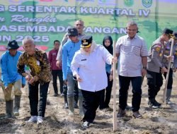 Dukung Swasembada Pangan 2025, Bupati Kasmarni Ikut Tanam Jagung Serentak Kuartal IV Bersama Gubernur Riau dan Kapolda Riau
