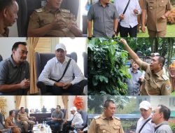 Wako Ludi Terima Audiensi Eksportir Kopi Asal Australia